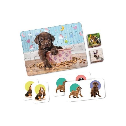 EDU KIT PIESKI PUPPIES MEMO DOMINO KOSTKI PUZZLE EDU KIT PIESKI PUPPIES MEMO DOMINO KOSTKI PUZZLE