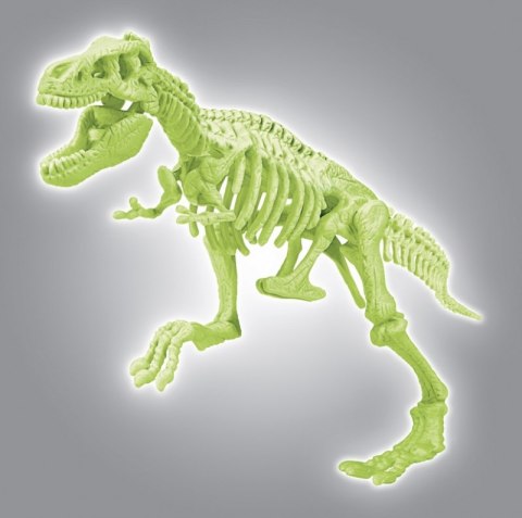 SKAMIENIAŁOŚCI T-REX NAUKOWA ZABAWA APLIKACJA ANDROID IOS SKAMIENIAŁOŚCI T-REX NAUKOWA ZABAWA APLIKACJA ANDROID IOS