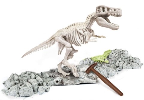 SKAMIENIAŁOŚCI T-REX NAUKOWA ZABAWA APLIKACJA ANDROID IOS SKAMIENIAŁOŚCI T-REX NAUKOWA ZABAWA APLIKACJA ANDROID IOS