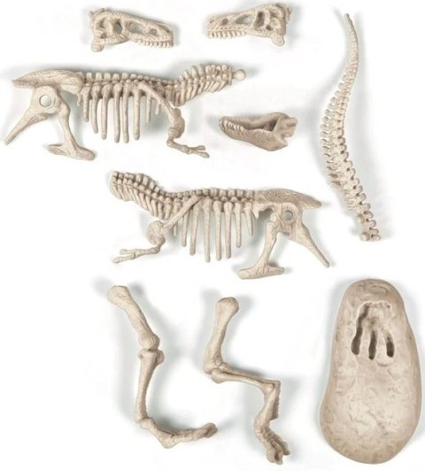SKAMIENIAŁOŚCI T-REX NAUKOWA ZABAWA APLIKACJA ANDROID IOS SKAMIENIAŁOŚCI T-REX NAUKOWA ZABAWA APLIKACJA ANDROID IOS