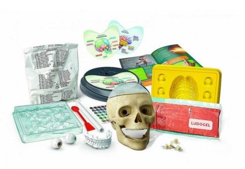 ZWARIOWANA ANATOMIA LABORATORIUM NAUKOWA ZABAWA CLEMENTONI ZWARIOWANA ANATOMIA LABORATORIUM NAUKOWA ZABAWA CLEMENTONI