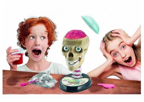 ZWARIOWANA ANATOMIA LABORATORIUM NAUKOWA ZABAWA CLEMENTONI ZWARIOWANA ANATOMIA LABORATORIUM NAUKOWA ZABAWA CLEMENTONI