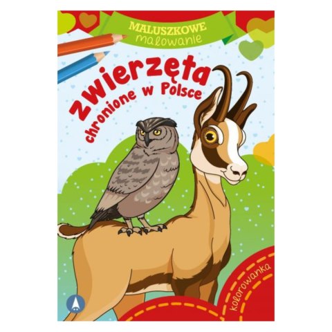 KOLOROWANKA MALUSZKOWE MALOWANIE. ZWIERZĘTA CHRONIONE W POLSCE KOLOROWANKA MALUSZKOWE MALOWANIE. ZWIERZĘTA CHRONIONE W POLSCE