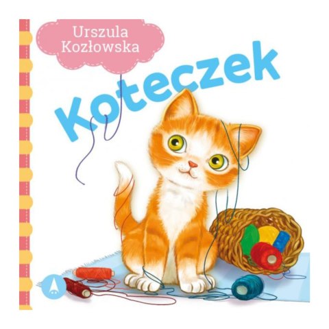 TW KOTECZEK TW KOTECZEK