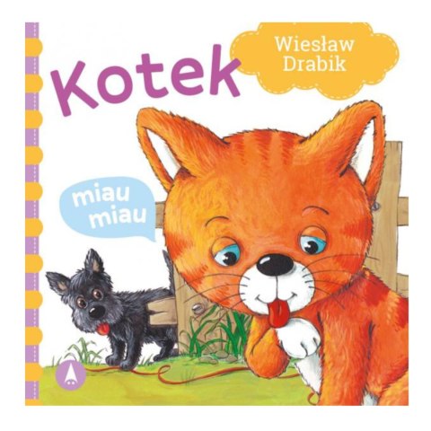 TW KOTEK MIAU MIAU TW KOTEK MIAU MIAU