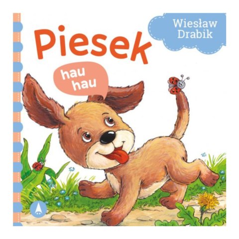 TW PIESEK HAU HAU TW PIESEK HAU HAU