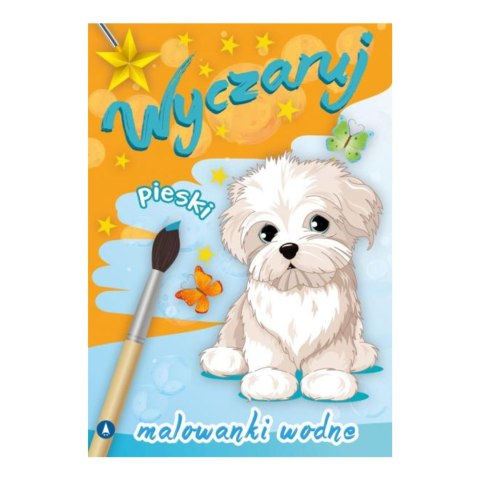 WYCZARUJ PIESKI. MALOWANKI WODNE WYCZARUJ PIESKI. MALOWANKI WODNE