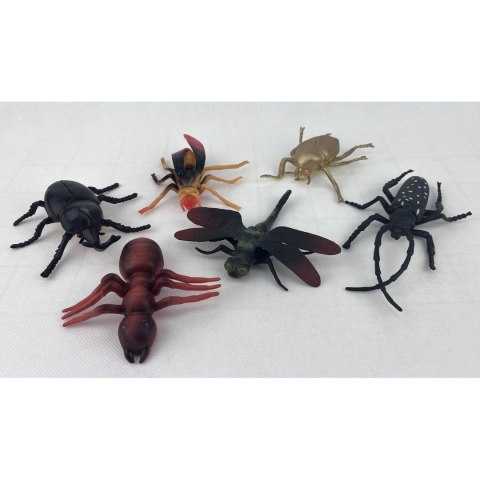 INSEKTY W FOLII INSEKTY W FOLII
