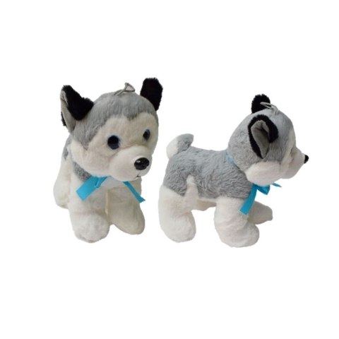 HUSKY ŚREDNI HUSKY ŚREDNI
