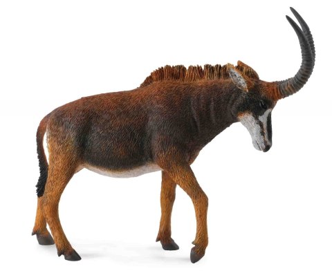 COLLECTA ANTYLOPA GIGANT SABLE SAMICA COLLECTA ANTYLOPA GIGANT SABLE SAMICA