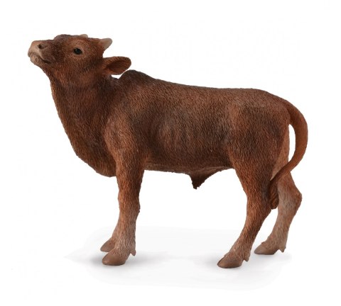 COLLECTA CIELĘ ANKOLE-WATUSI COLLECTA CIELĘ ANKOLE-WATUSI