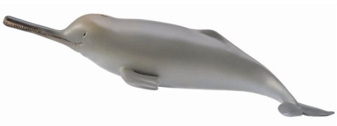 COLLECTA DELFIN Z RZEKI GANGES COLLECTA DELFIN Z RZEKI GANGES