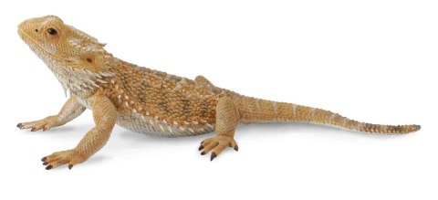 COLLECTA JASZCZURKA DRAGON COLLECTA JASZCZURKA DRAGON