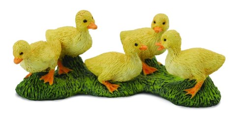 COLLECTA KACZUSZKI COLLECTA KACZUSZKI