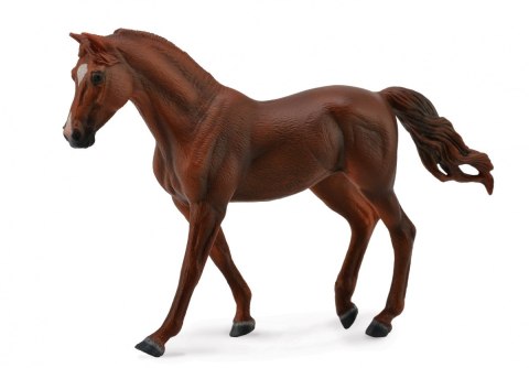 COLLECTA KOŃ MISSOURI TROTTE MARE KASZTANOWATY COLLECTA KOŃ MISSOURI TROTTE MARE KASZTANOWATY