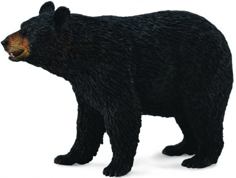 COLLECTA NIEDŹWIEDŹ BARIBAL COLLECTA NIEDŹWIEDŹ BARIBAL
