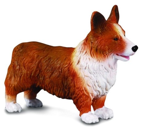 COLLECTA PIES IRLANDZKI CORGI COLLECTA PIES IRLANDZKI CORGI
