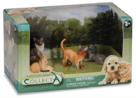 COLLECTA ZESTAW 4 KOTÓW W OPAKOWANIU COLLECTA ZESTAW 4 KOTÓW W OPAKOWANIU