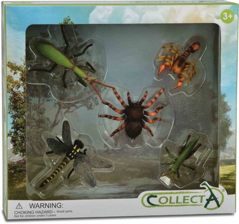 COLLECTA ZESTAW 5 INSEKTÓW W OPAKOWANIU COLLECTA ZESTAW 5 INSEKTÓW W OPAKOWANIU