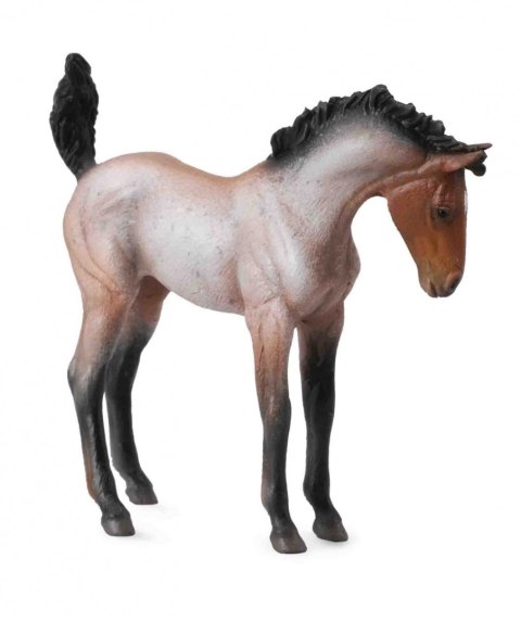 COLLECTA ŹREBIĘ MUSTANG MAŚCI GNIADEJ COLLECTA ŹREBIĘ MUSTANG MAŚCI GNIADEJ