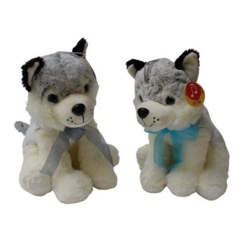 HUSKY SIEDZĄCY MAŁY HUSKY SIEDZĄCY MAŁY
