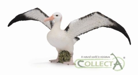COLLECTA ALBATROS WĘDROWNY COLLECTA ALBATROS WĘDROWNY