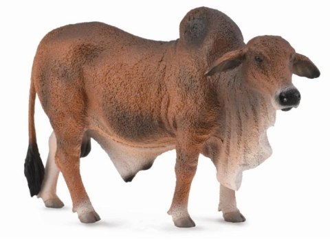 COLLECTA BYK CZERWONY BRAHMAN COLLECTA BYK CZERWONY BRAHMAN