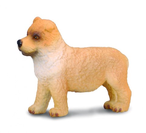 COLLECTA CHOW CHOW SZCZENIAK COLLECTA CHOW CHOW SZCZENIAK