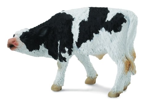 COLLECTA CIELĘ COLLECTA CIELĘ