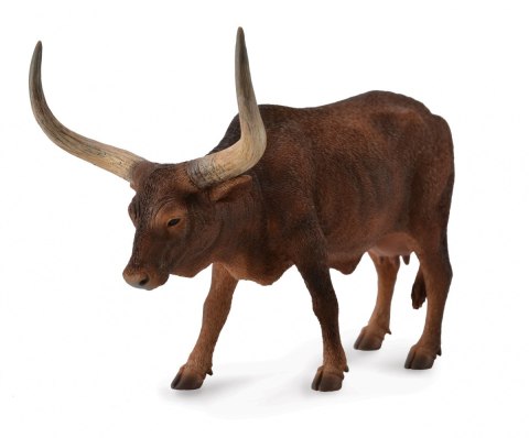 COLLECTA KROWA ANKOLE-WATUSI COLLECTA KROWA ANKOLE-WATUSI