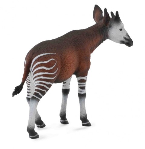 COLLECTA OKAPI COLLECTA OKAPI