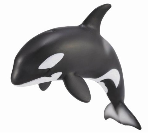 COLLECTA ORKA MŁODE COLLECTA ORKA MŁODE