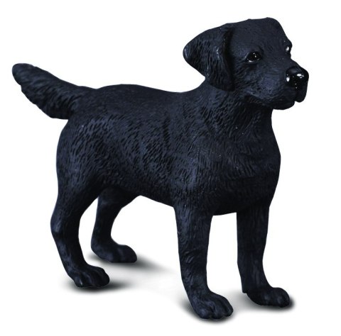 COLLECTA PIES LABRADOR COLLECTA PIES LABRADOR
