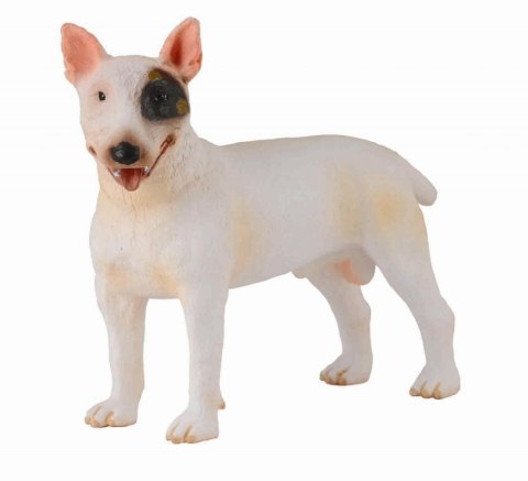 COLLECTA PIES RASY BULLTERIER COLLECTA PIES RASY BULLTERIER