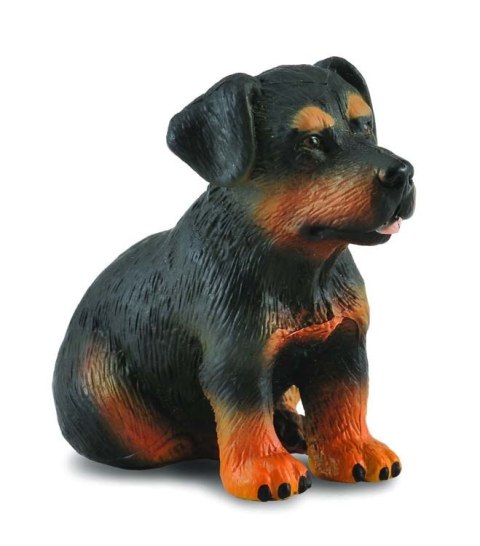 COLLECTA PIES RASY ROTTWEILER SZCZENIAK COLLECTA PIES RASY ROTTWEILER SZCZENIAK