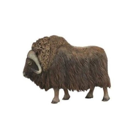 COLLECTA PIŻMOWÓŁ ARKTYCZNY COLLECTA PIŻMOWÓŁ ARKTYCZNY