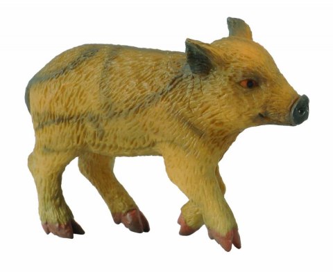 COLLECTA WARCHLAK IDĄCY COLLECTA WARCHLAK IDĄCY