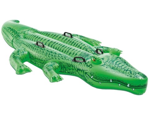 ALIGATOR DO PŁYWANIA ALIGATOR DO PŁYWANIA