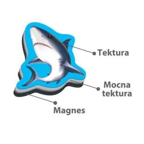 ZESTAW MAGNETYCZNY MORSKIE ŻYCIE Z TABLICĄ MAGNESY UKŁADANKA ROTER KAFER ZESTAW MAGNETYCZNY MORSKIE ŻYCIE Z TABLICĄ MAGNESY UKŁADANKA ROTER KAFER