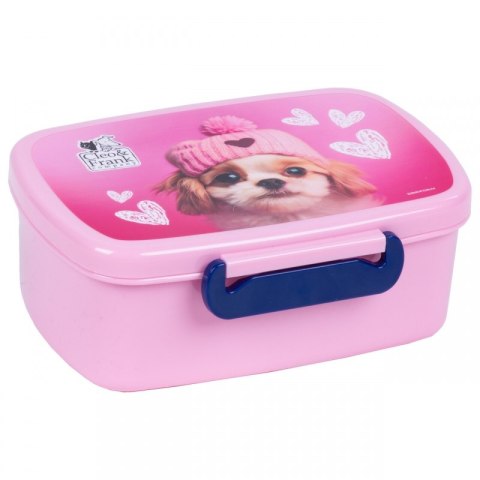 Śniadaniówka Pojemnik Lunchbox Piesek Cleo i Frank Śniadaniówka Pojemnik Lunchbox Piesek Cleo i Frank