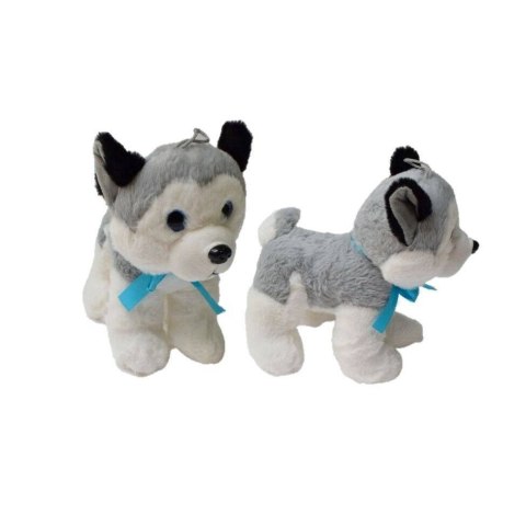 HUSKY ŚREDNI HUSKY ŚREDNI