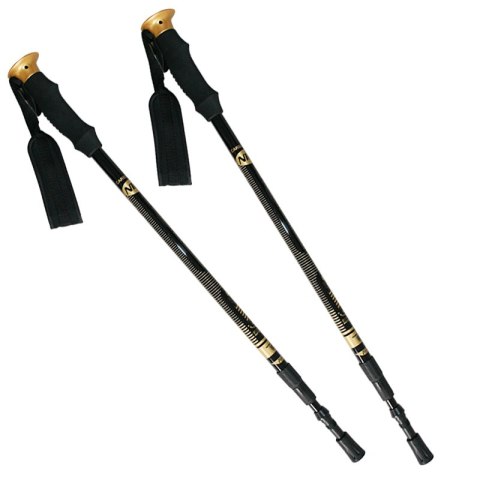 NW-TK19 KIJE TREKKING/NORDIC WALKING 50% CARBON NW-TK19 KIJE TREKKING/NORDIC WALKING 50% CARBON